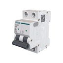 INTERRUPTOR TERMOMAGNETICO 2X50A 4,5KA CURVA C